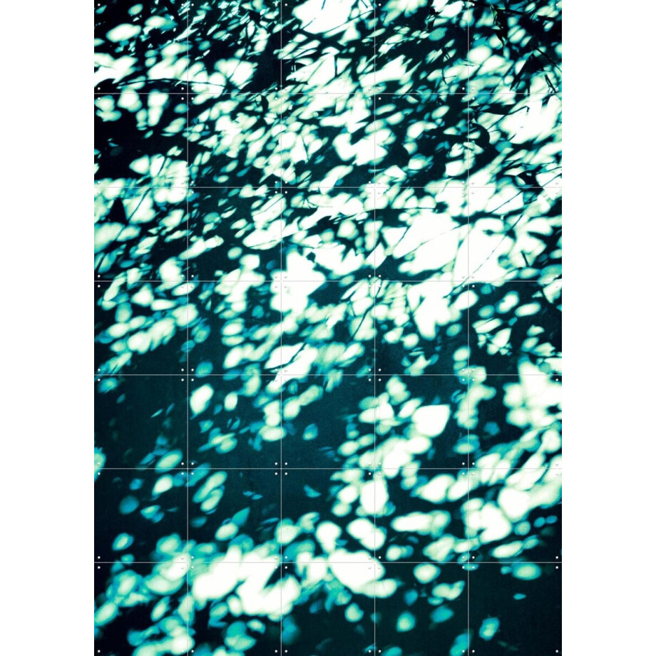 IXXI Wall Shadows Teal, Angelo Cerantola - 100 x 140 cm - Gratis ophangtool - Grote wanddecoratie en posters - Modern, Abstract, Surrealisme, Digitale afbeelding 1