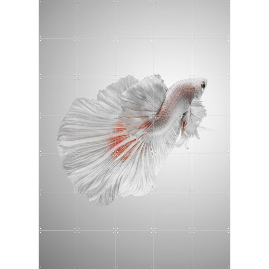 IXXI White Betta, Andi Halil & Various - 100 x 140 cm - Gratis ophangtool - Grote wanddecoratie en posters - Digitale Kunst, Fotografie, Slaapkamer IXXI White Betta, Andi Halil & Various - 100 x 140 cm - Gratis ophangtool - Grote wanddecoratie en posters - Digitale Kunst, Fotografie, Slaapkamer afbeelding 1