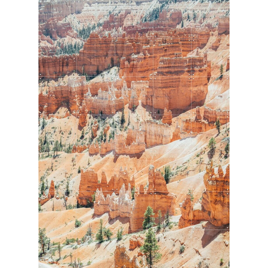 IXXI Bryce Canyon, Pati Photography - 100 x 140 cm - Gratis ophangtool - Grote wanddecoratie en posters - Naturalisme, Fotografie, Woonkamer afbeelding 1