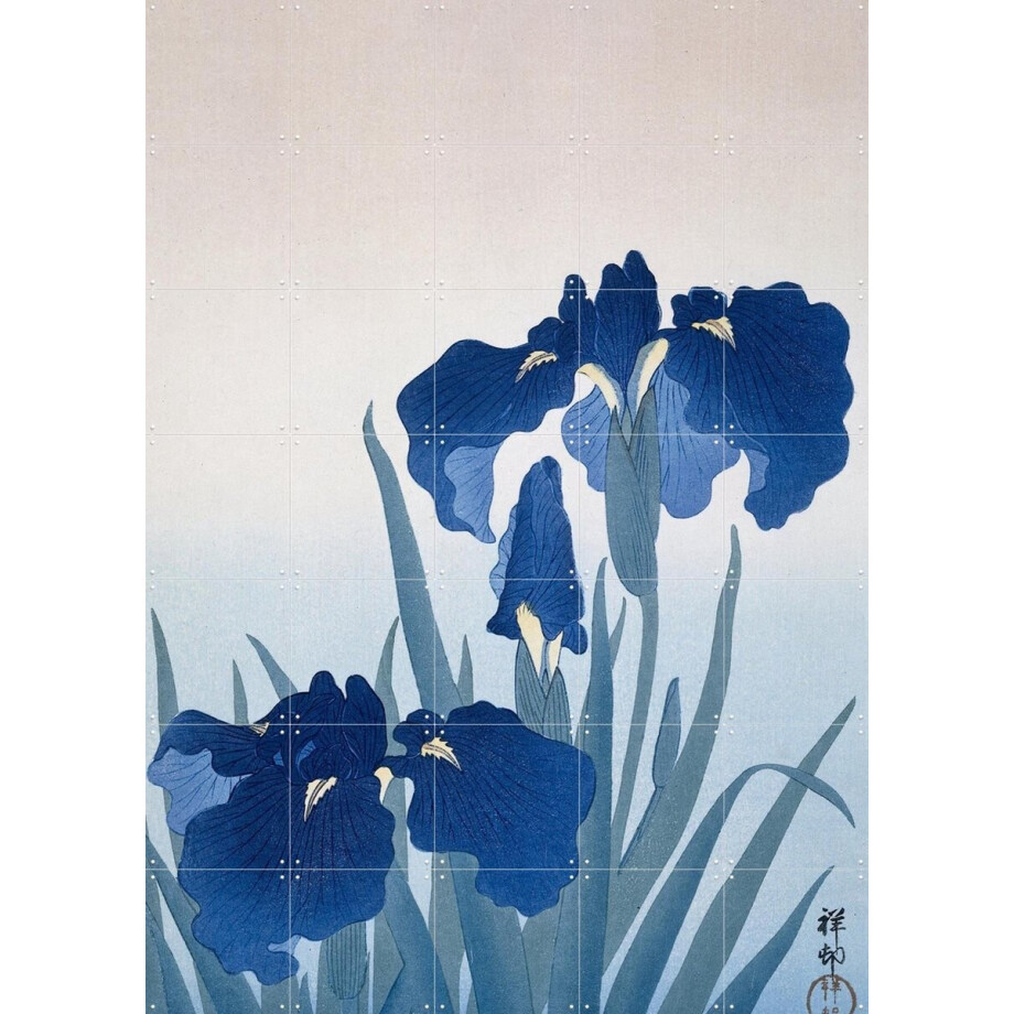 IXXI Irisis, Ohara Koson & Rijksmuseum - 100 x 140 cm - Grote wanddecoratie en posters - Houtsnede, Ukiyo-e, Klassiek, Woonkamer, Slaapkamer, Bloemen afbeelding 1
