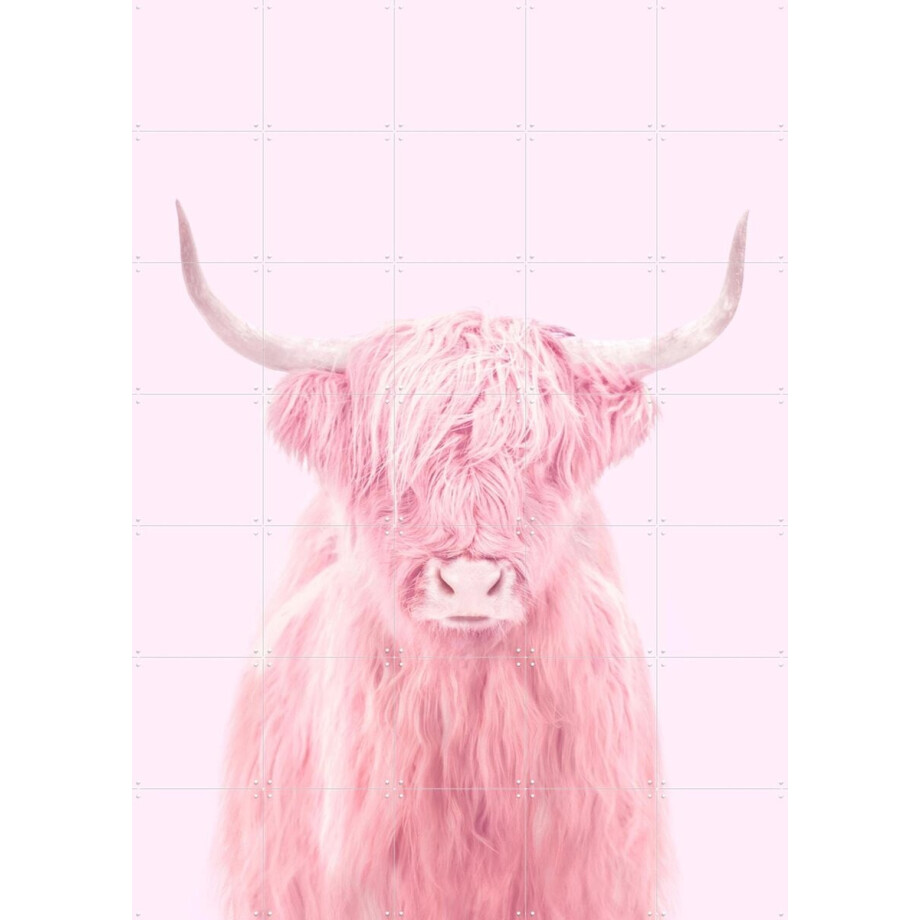 IXXI Highland Cow, Paul Fuentes - 100 x 140 cm - Gratis ophangtool - Grote wanddecoratie en posters - Digitale Kunst, Kleurrijk, Speels, Pop art afbeelding 1