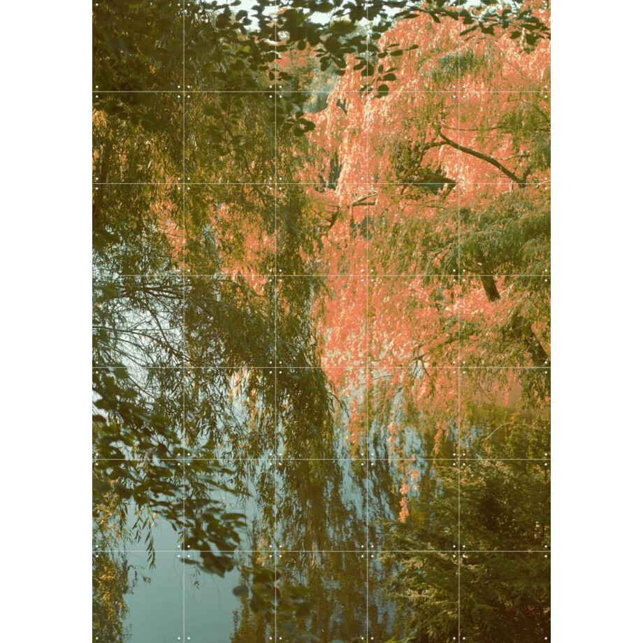 IXXI Louisiana, Florent Bodart - 100 x 140 cm - Gratis ophangtool - Grote wanddecoratie en posters - Naturalisme, Fotografie, Woonkamer, Gang afbeelding 1