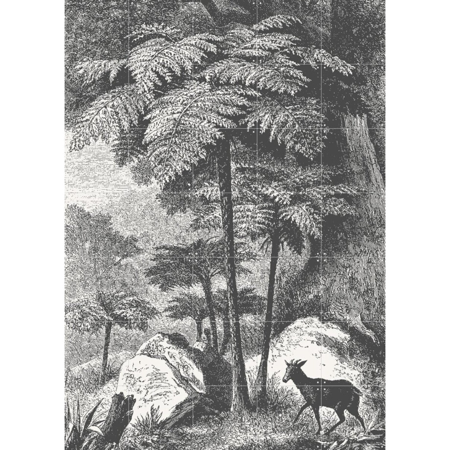 IXXI Deer and Fern, Aster Edition - 100 x 140 cm - Gratis ophangtool - Grote wanddecoratie en posters - Vintage, Landschappen, Bossen, Natuur IXXI Deer and Fern, Aster Edition - 100 x 140 cm - Gratis ophangtool - Grote wanddecoratie en posters - Vintage, Landschappen, Bossen, Natuur afbeelding 1