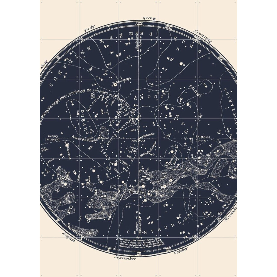 IXXI Southern Constellations, Aster Edition - 100 x 140 cm - Gratis ophangtool - Grote wanddecoratie en posters - Technische Tekening, Vintage afbeelding 1
