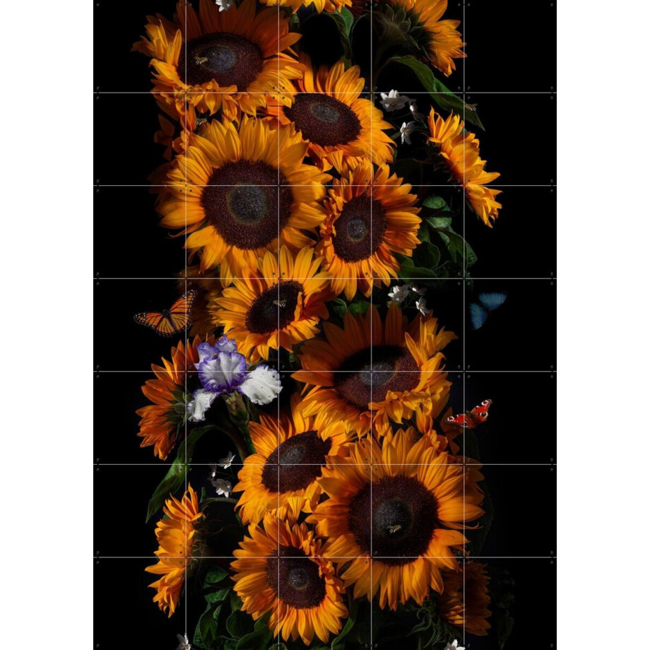IXXI Sunflowers Van Gogh, Sander van Laar & Van Gogh 21st Century - 100 x 140 cm - Gratis ophangtool - Grote wanddecoratie en posters - Fotografie afbeelding 1