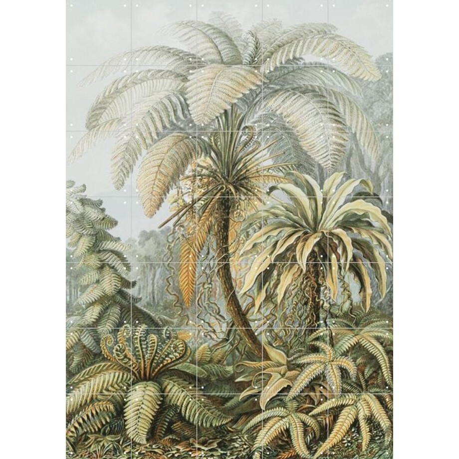 IXXI Ferns color, Ernst Haeckel & Victoria and Albert Museum - 100 x 140 cm - Gratis ophangtool - Grote wanddecoratie en posters - Kleurrijk IXXI Ferns color, Ernst Haeckel & Victoria and Albert Museum - 100 x 140 cm - Gratis ophangtool - Grote wanddecoratie en posters - Kleurrijk afbeelding 1