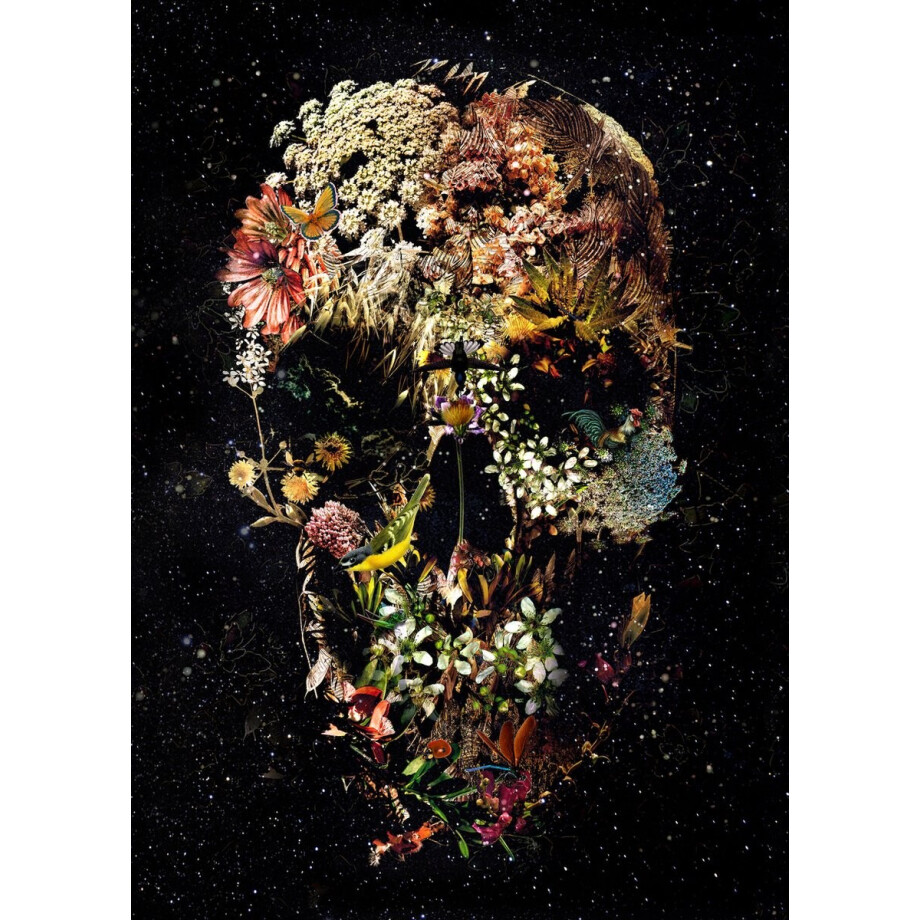 Skull Smyrna- Kristal Helder Galerie kwaliteit Plexiglas 5mm. - Blind Aluminium Ophang-frame - Luxe wanddecoratie - Fotokunst - professioneel verpakt en gratis bezorgd Skull Smyrna- Kristal Helder Galerie kwaliteit Plexiglas 5mm. - Blind Aluminium Ophang-frame - Luxe wanddecoratie - Fotokunst - professioneel verpakt en gratis bezorgd afbeelding 1