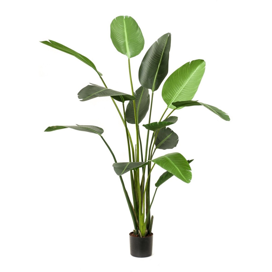 Emerald - Kunstplant Strelitzia 230cm - Kunstplant voor binnen afbeelding 1
