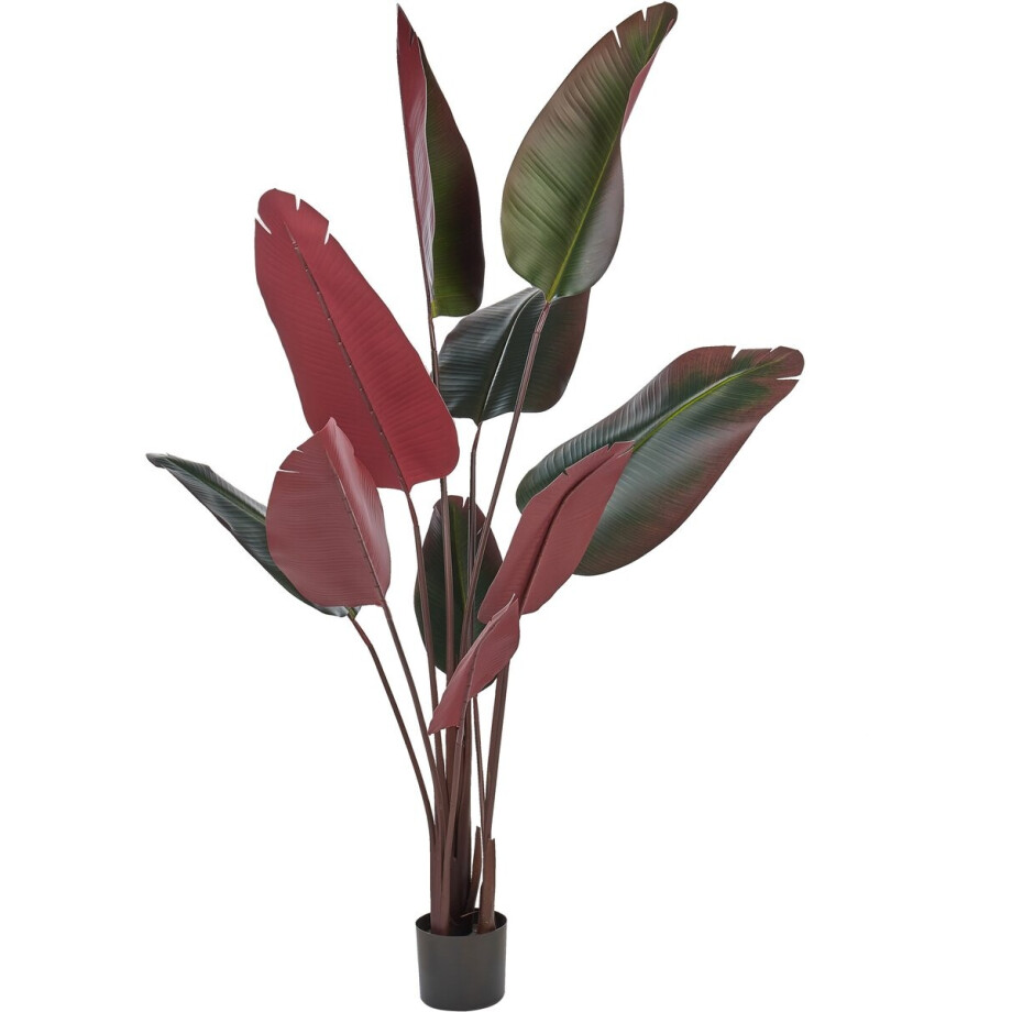 BANANA TREE - Kunstplant - Groen - 170 cm - Synthetisch materiaal afbeelding 1