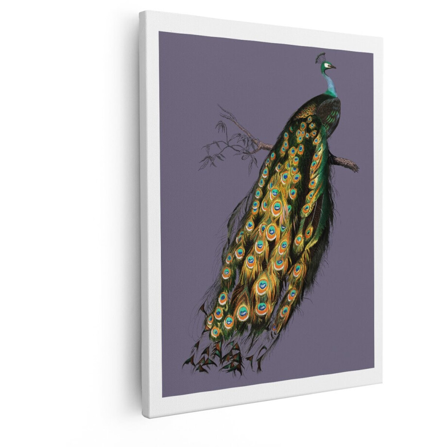 Artaza Canvas Schilderij Prachtige Pauw met Weelderige Staart Zittend op een Tak - Gedetailleerde Illustratie - 80x100 cm - Groot - Wanddecoratie Woonkamer - Schilderijen - Muurdecoratie afbeelding 1