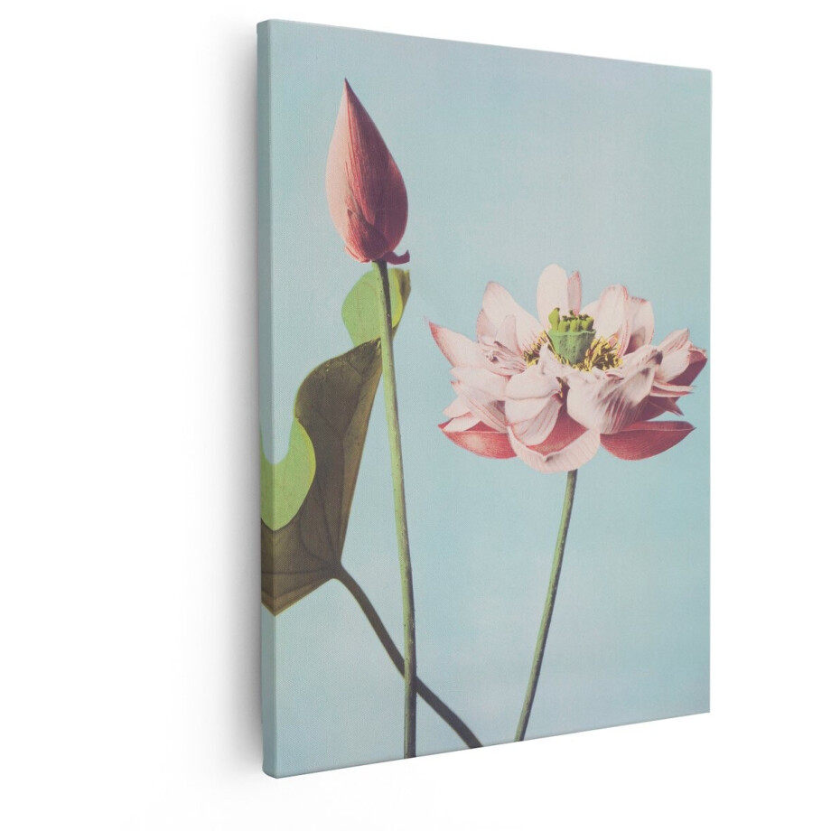 Artaza Canvas Schilderij Roze Lotusbloemen - een Bloeiende en een Gesloten Knop - tegen een Helderblauwe Achtergrond - 40x50 cm - Wanddecoratie Woonkamer - Schilderijen - Muurdecoratie afbeelding 1