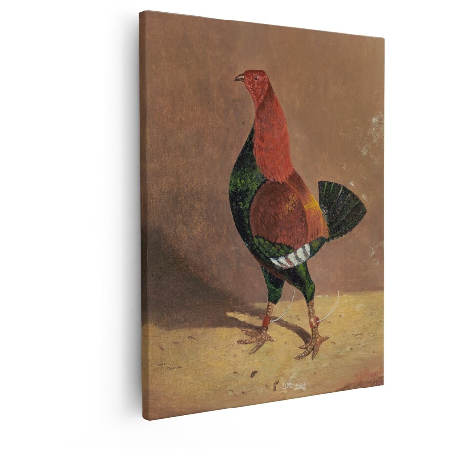 Artaza Canvas Schilderij Haan - 40x50 cm - Wanddecoratie Vogels - Muurdecoratie Landelijk - Decoratie Dieren Schilderij Artaza Canvas Schilderij Haan - 40x50 cm - Wanddecoratie Vogels - Muurdecoratie Landelijk - Decoratie Dieren Schilderij afbeelding 1