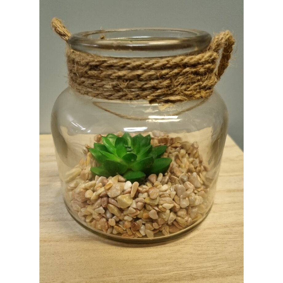 Countryfield vetplant in pot S afbeelding 1