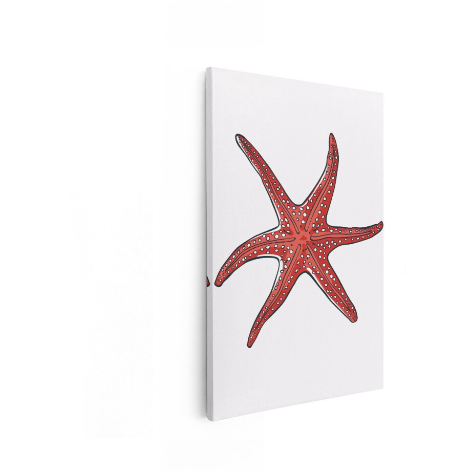 Artaza Canvas Schilderij Zeester - 60x90 cm - Wanddecoratie Zee - Muurdecoratie Kinderkamer - Decoratie Strand Rood afbeelding 1
