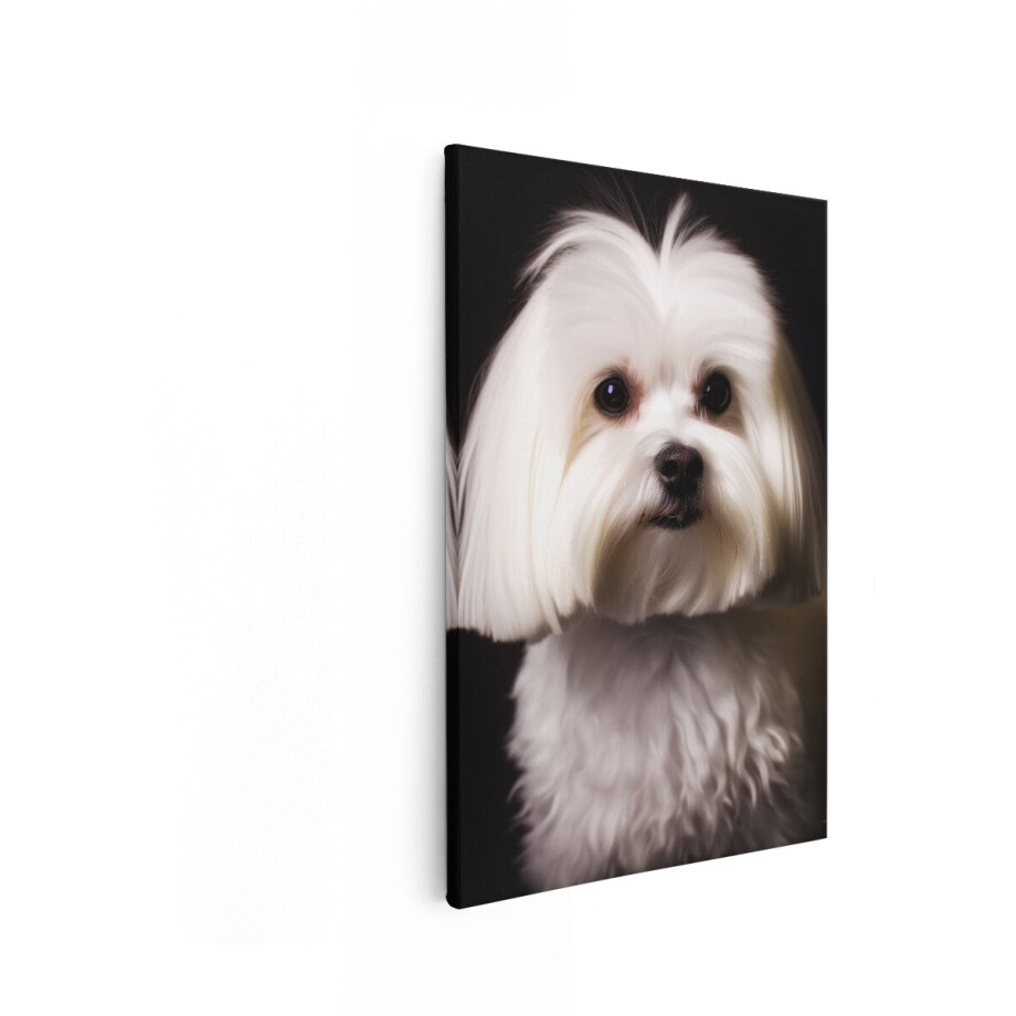 Artaza Canvas Schilderij Maltezer Hond - 40x60 cm - Wanddecoratie Dieren - Muurdecoratie Witte Hond - Decoratie Woonkamer - Schilderijen Op Canvas Artaza Canvas Schilderij Maltezer Hond - 40x60 cm - Wanddecoratie Dieren - Muurdecoratie Witte Hond - Decoratie Woonkamer - Schilderijen Op Canvas afbeelding 1