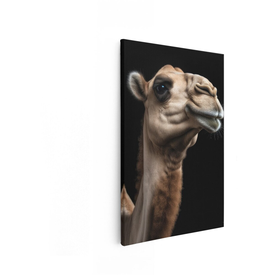 Artaza Canvas Schilderij Close-Up Portret van een Dromedaris met een Zwarte Achtergrond - 20x30 cm - Klein - Wanddecoratie Woonkamer - Schilderijen - Muurdecoratie afbeelding 1