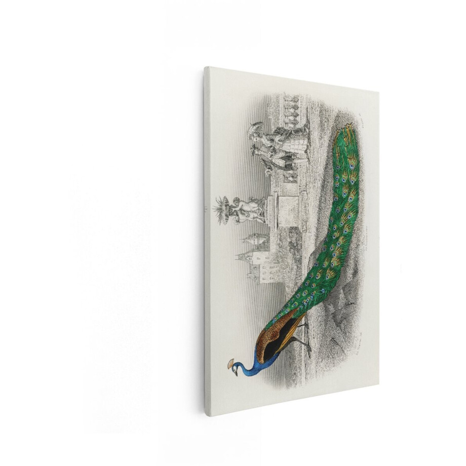 Artaza Canvas Schilderij Prachtige Pauw met Sierlijke Staart in een Historische Tuin met Figuren - 80x120 cm - Groot - Wanddecoratie Woonkamer - Schilderijen - Muurdecoratie afbeelding 1