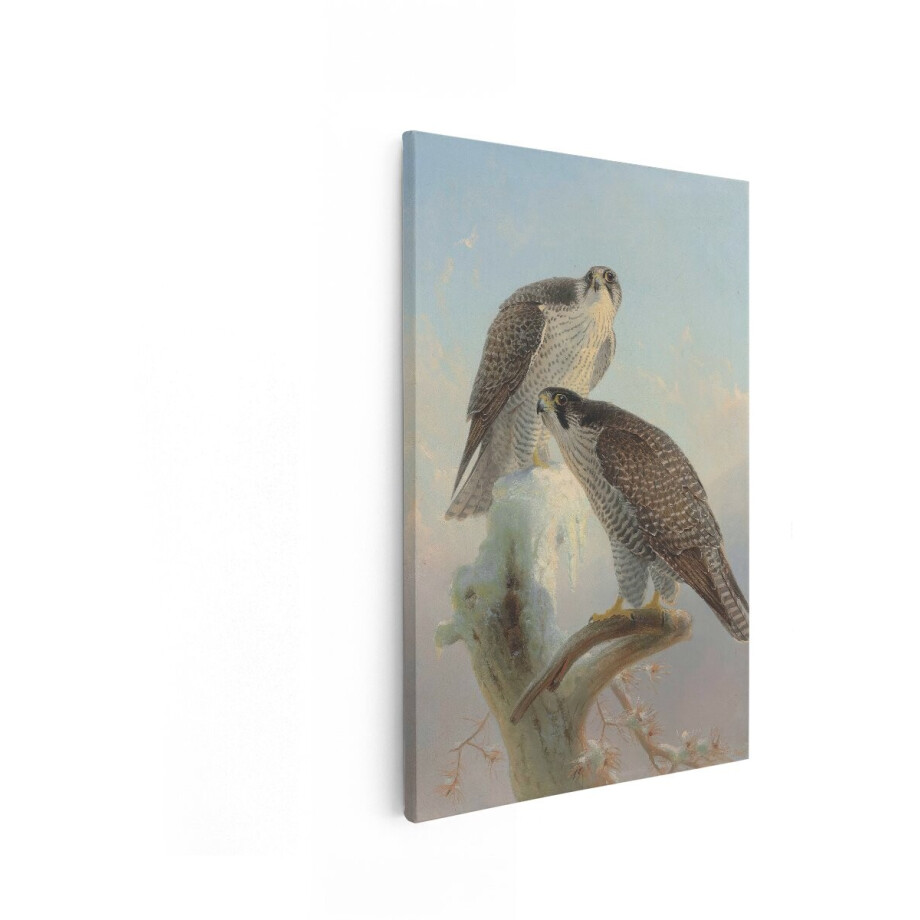 Artaza Canvas Schilderij Slechtvalken - 60x90 cm - Wanddecoratie Vogels - Muurdecoratie Roofvogels - Decoratie Winterse Natuur Artaza Canvas Schilderij Slechtvalken - 60x90 cm - Wanddecoratie Vogels - Muurdecoratie Roofvogels - Decoratie Winterse Natuur afbeelding 1