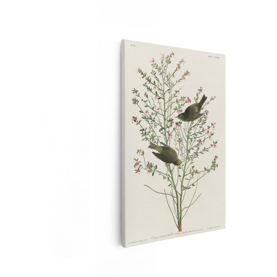 Artaza Canvas Schilderij Twee Groenige Zangvogels op een Bloeiende Tak met Kleine Roze Bloemen - 40x60 cm - Wanddecoratie Woonkamer - Schilderijen - Muurdecoratie afbeelding 1