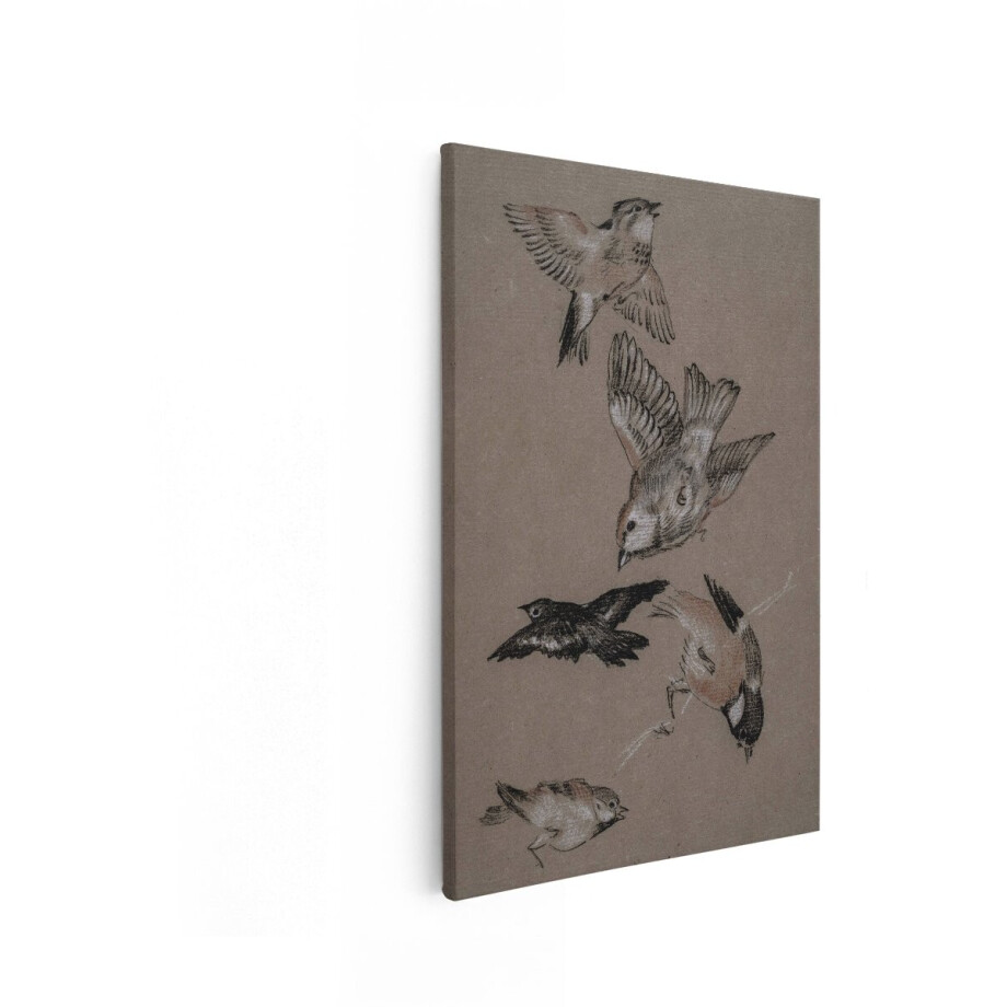 Artaza Canvas Schilderij Vogelschets - 20x30 cm - Wanddecoratie Vintage Natuur - Muurdecoratie Dieren - Schilderijen Op Canvas Artaza Canvas Schilderij Vogelschets - 20x30 cm - Wanddecoratie Vintage Natuur - Muurdecoratie Dieren - Schilderijen Op Canvas afbeelding 1
