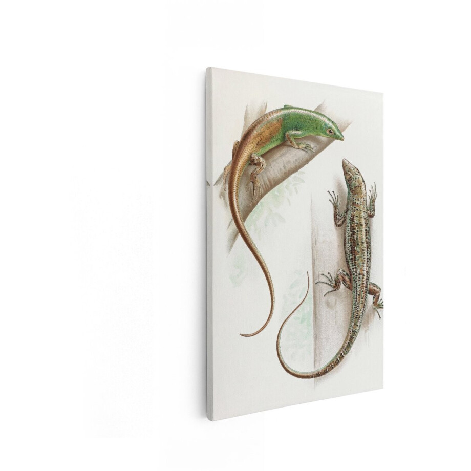 Artaza Canvas Schilderij Hagedissen - 80x120 cm - Wanddecoratie Dieren - Muurdecoratie Natuur - Vintage Schilderijen Op Canvas - Groen afbeelding 1