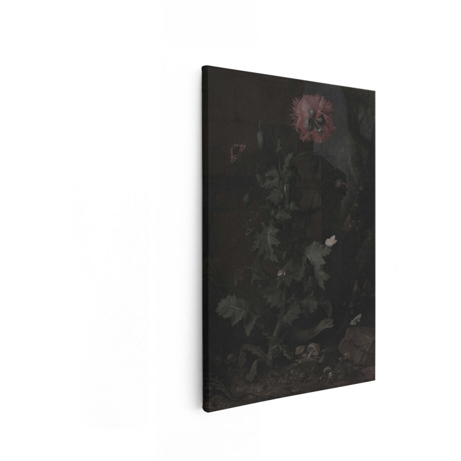 Artaza Canvas Schilderij Donkere Stilleven met Papaver - Insecten en Slakken in een Natuurlijke Omgeving - 20x30 cm - Klein - Wanddecoratie Woonkamer - Schilderijen - Muurdecoratie afbeelding 1