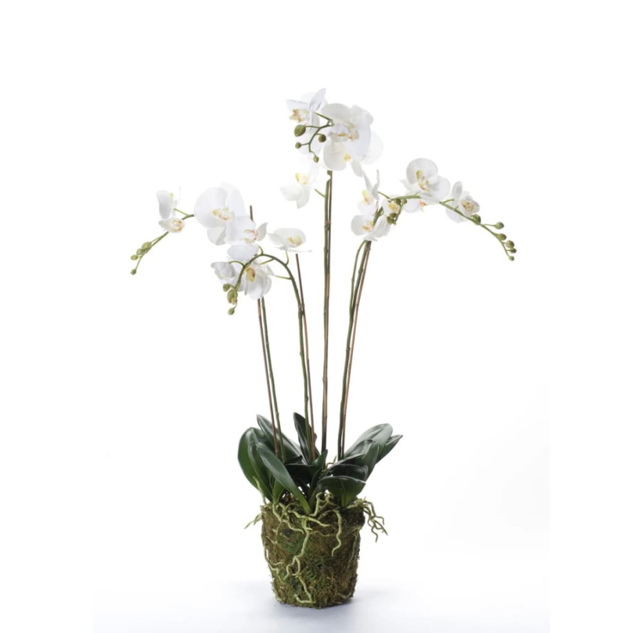 Emerald Kunstplant orchidee met mos wit 90 cm 20.355 afbeelding 1