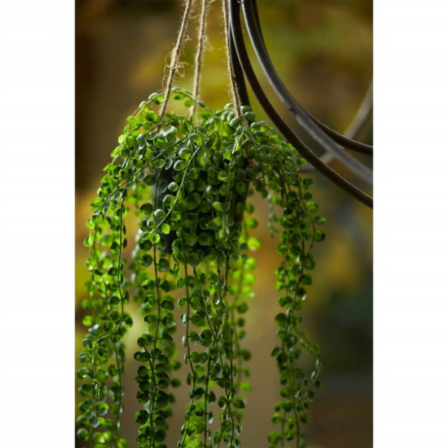 Emerald Kunstplant hangend in pot ficus pumila 60 cm afbeelding 1