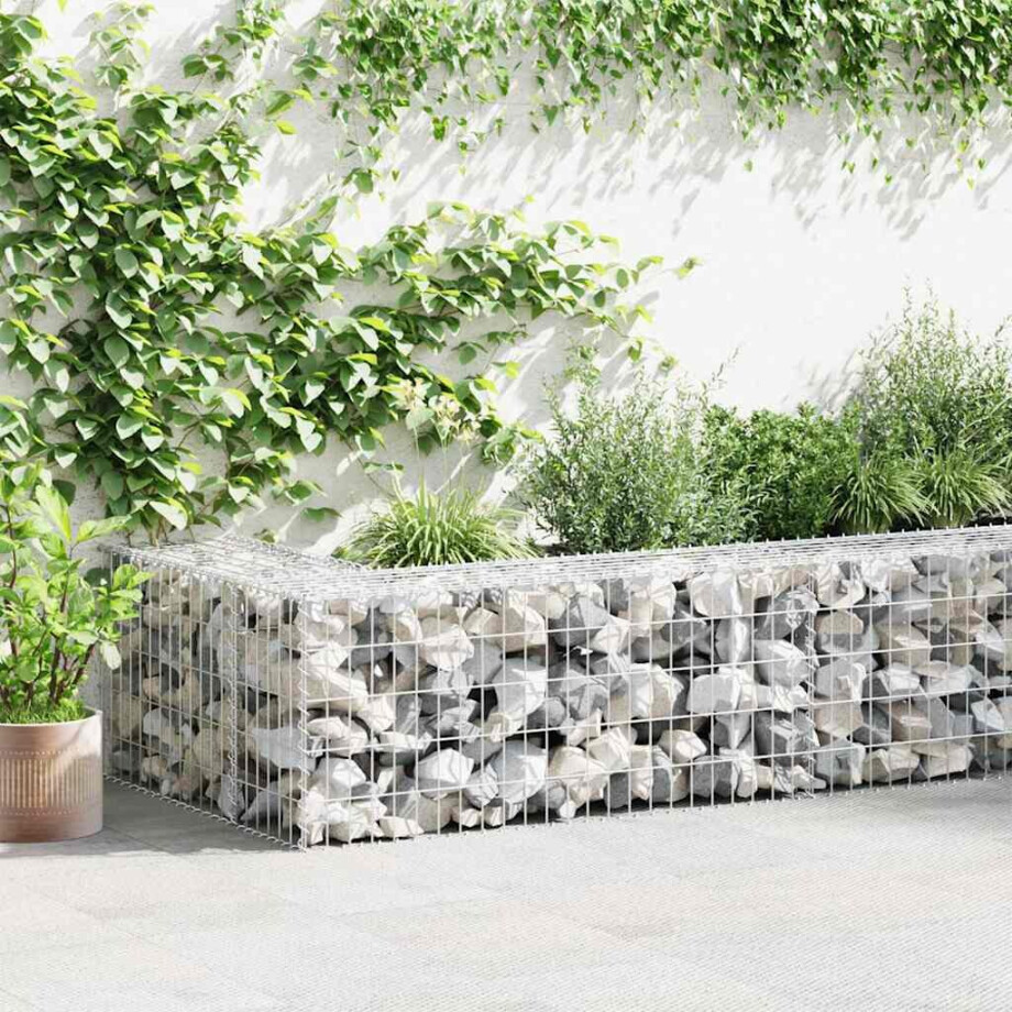 vidaXL Gabion mand 100x50x50 cm gegalvaniseerd staal afbeelding 1