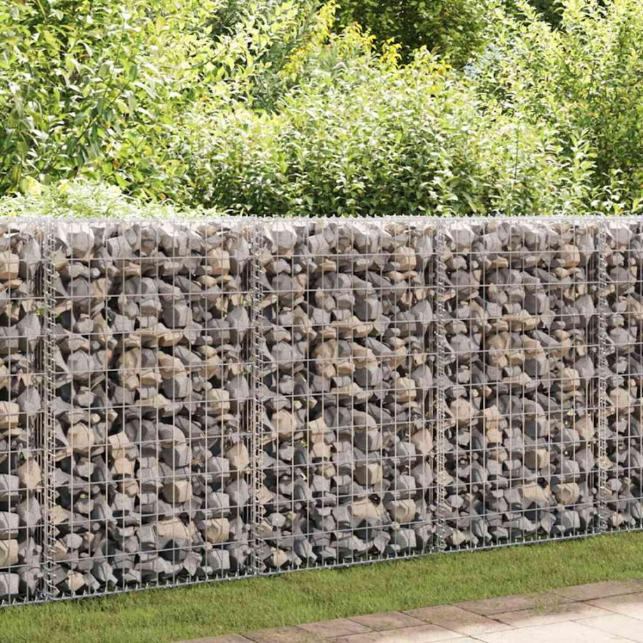 vidaXL Gabion mand 200x50x100 cm gegalvaniseerd staal afbeelding 1