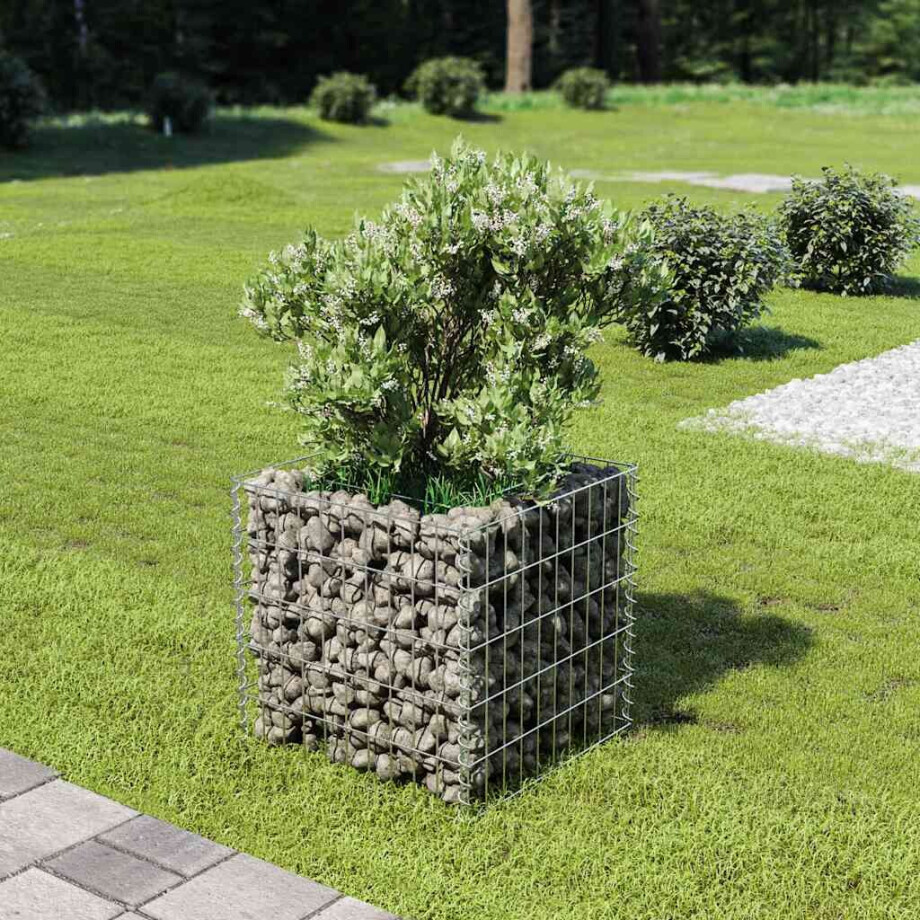vidaXL Gabion plantenbak verhoogd 50x50x50 cm gegalvaniseerd staal afbeelding 1