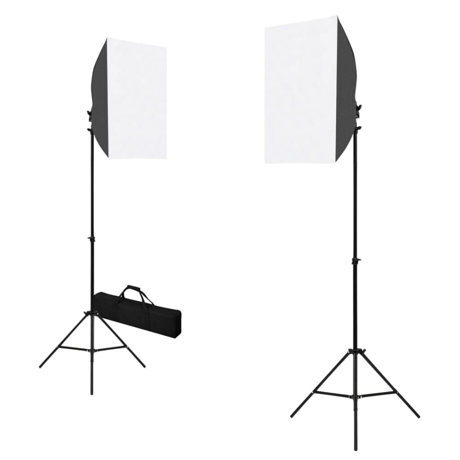 vidaXL Professionele studiolampen 2 st 40x60 cm staal zwart afbeelding 1