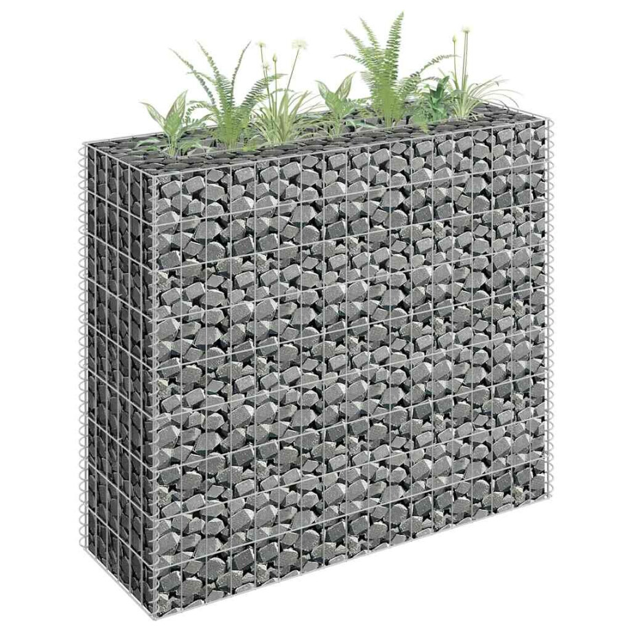 vidaXL Gabion plantenbak verhoogd 90x30x90 cm gegalvaniseerd staal vidaXL Gabion plantenbak verhoogd 90x30x90 cm gegalvaniseerd staal afbeelding 1