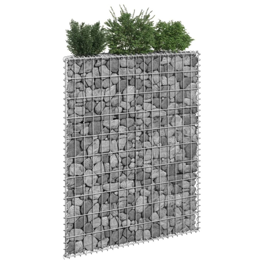 vidaXL Gabion plantenbak trapezium 80x20x100 cm gegalvaniseerd staal afbeelding 1