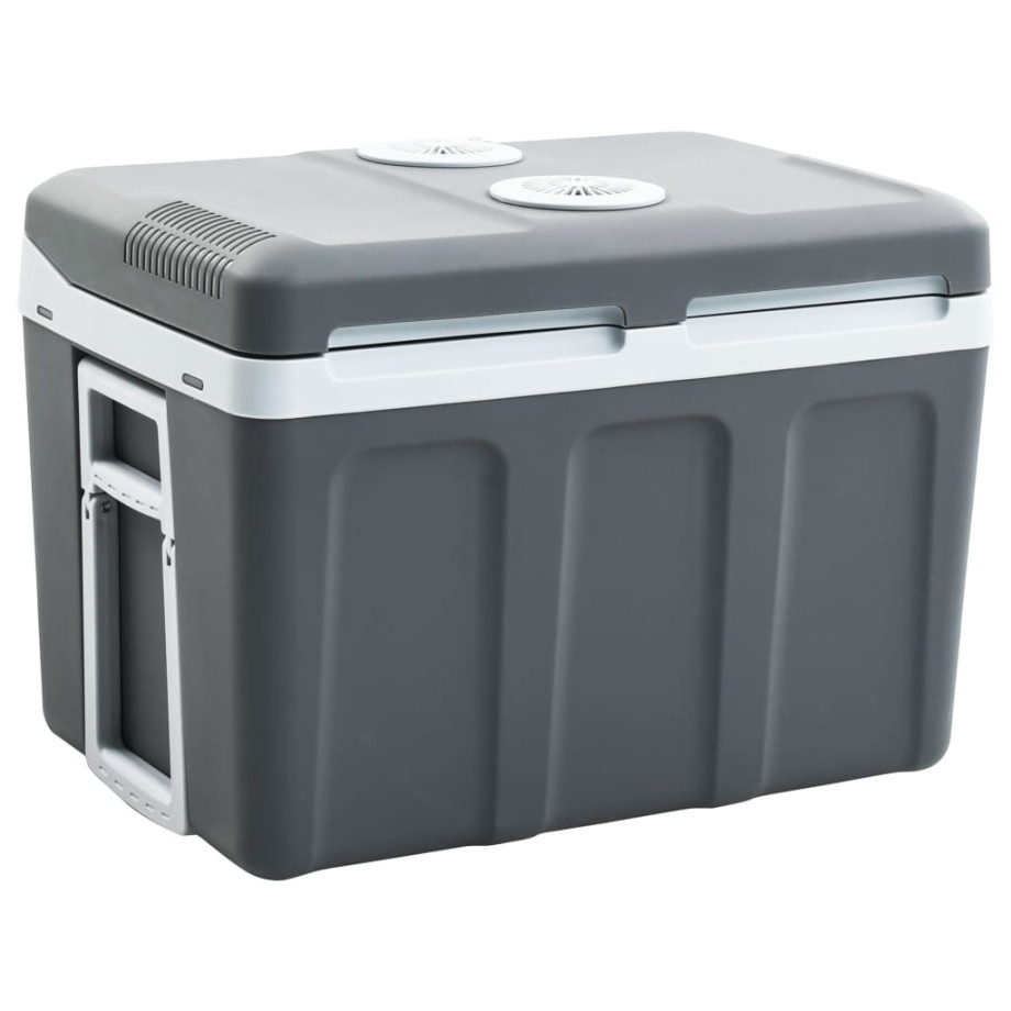 vidaXL Koelbox thermo-elektrisch draagbaar 12 V 230 V E 40 L afbeelding 1