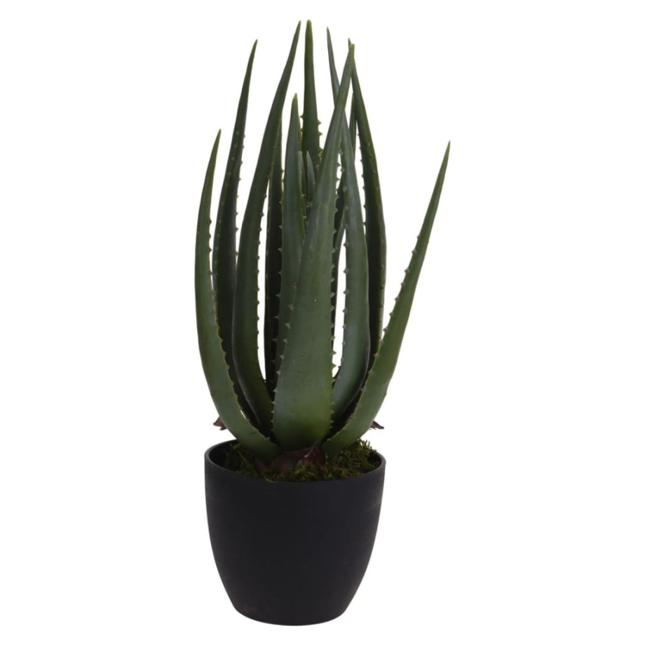 ProGarden Kunstplant in pot Aloe Vera 25x45 cm afbeelding 1