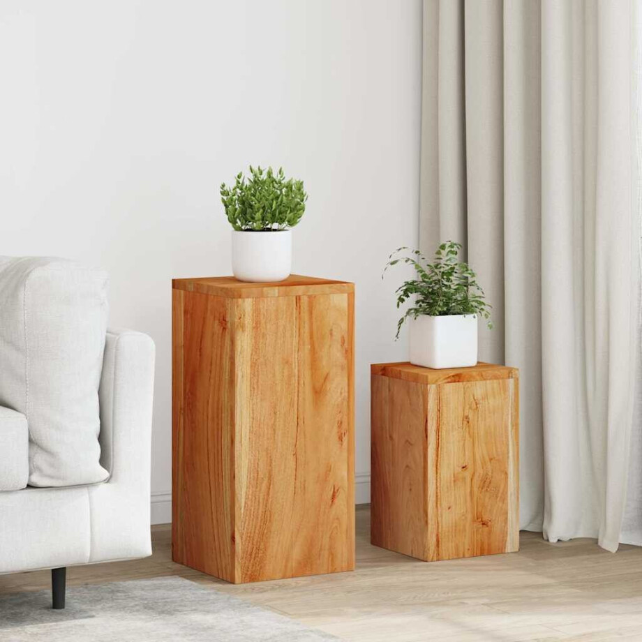 vidaXL Plantenstandaards 2 st massief acaciahout afbeelding 1