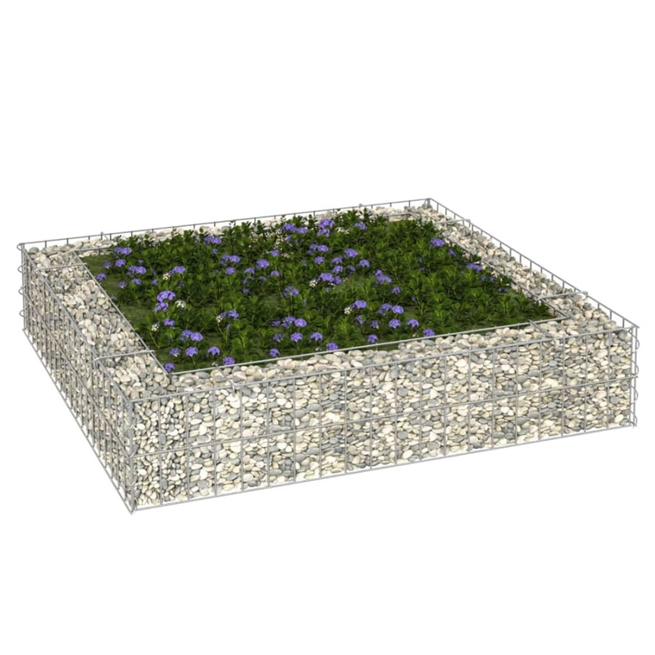 vidaXL Gabion plantenbak verhoogd 100x100x20 cm gegalvaniseerd staal vidaXL Gabion plantenbak verhoogd 100x100x20 cm gegalvaniseerd staal afbeelding 1