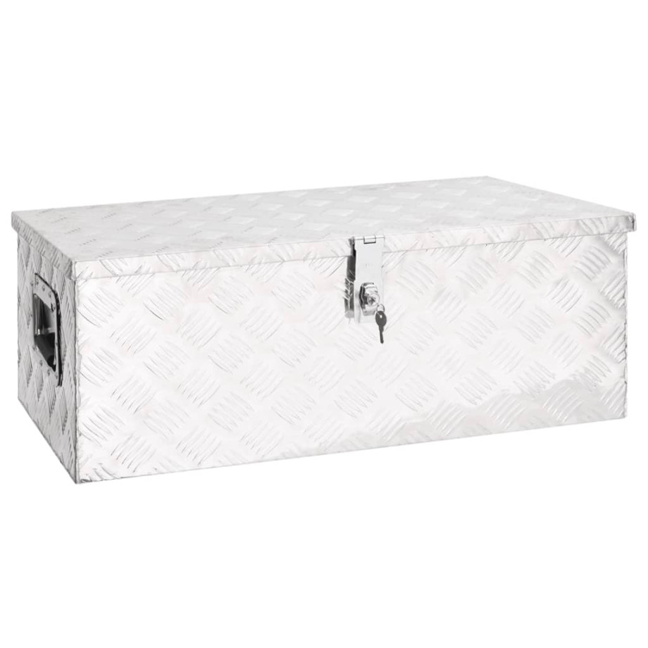 vidaXL Opbergbox 80x39x30 cm aluminium zilverkleurig afbeelding 1