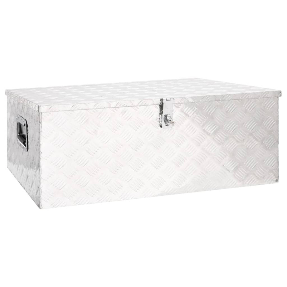 vidaXL Opbergbox 100x55x37 cm aluminium zilverkleurig afbeelding 1