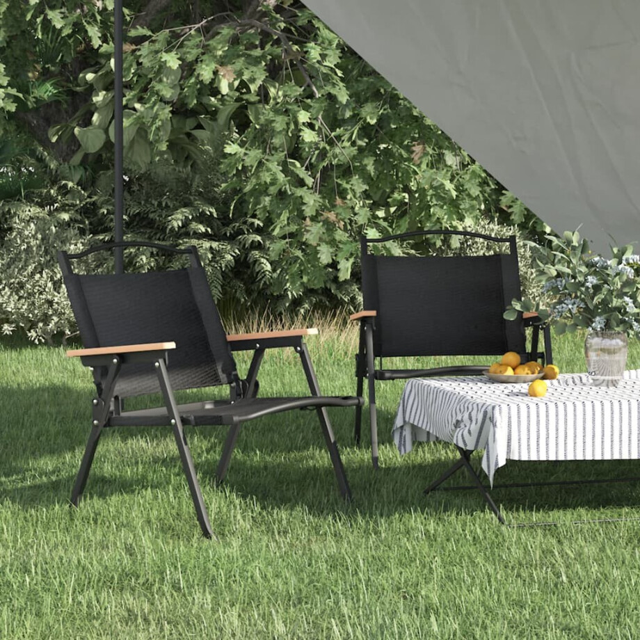 vidaXL Campingstoelen 2 st 54x43x59 cm oxford stof zwart vidaXL Campingstoelen 2 st 54x43x59 cm oxford stof zwart afbeelding 1