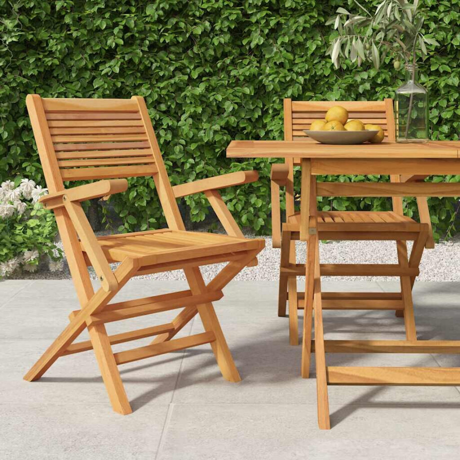vidaXL Tuinstoelen inklapbaar 2 st 55x62x90 cm massief teakhout vidaXL Tuinstoelen inklapbaar 2 st 55x62x90 cm massief teakhout afbeelding 1