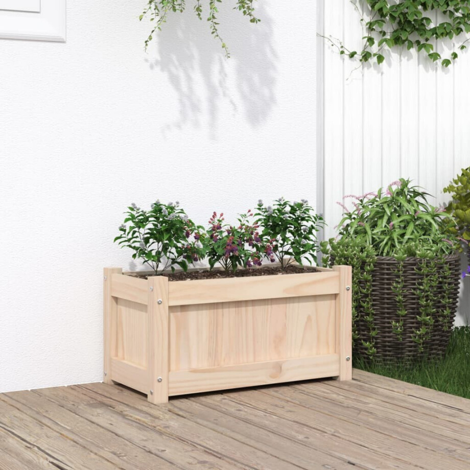 vidaXL Plantenbak 60x31x31 cm massief grenenhout afbeelding 1