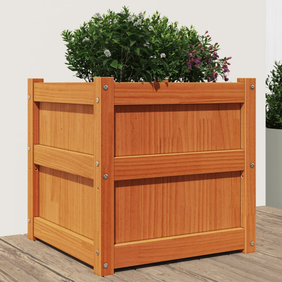 vidaXL Plantenbak 50x50x50 cm massief grenenhout wasbruin afbeelding 1