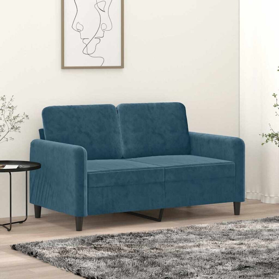 vidaXL Tweezitsbank 120 cm fluweel blauw afbeelding 1