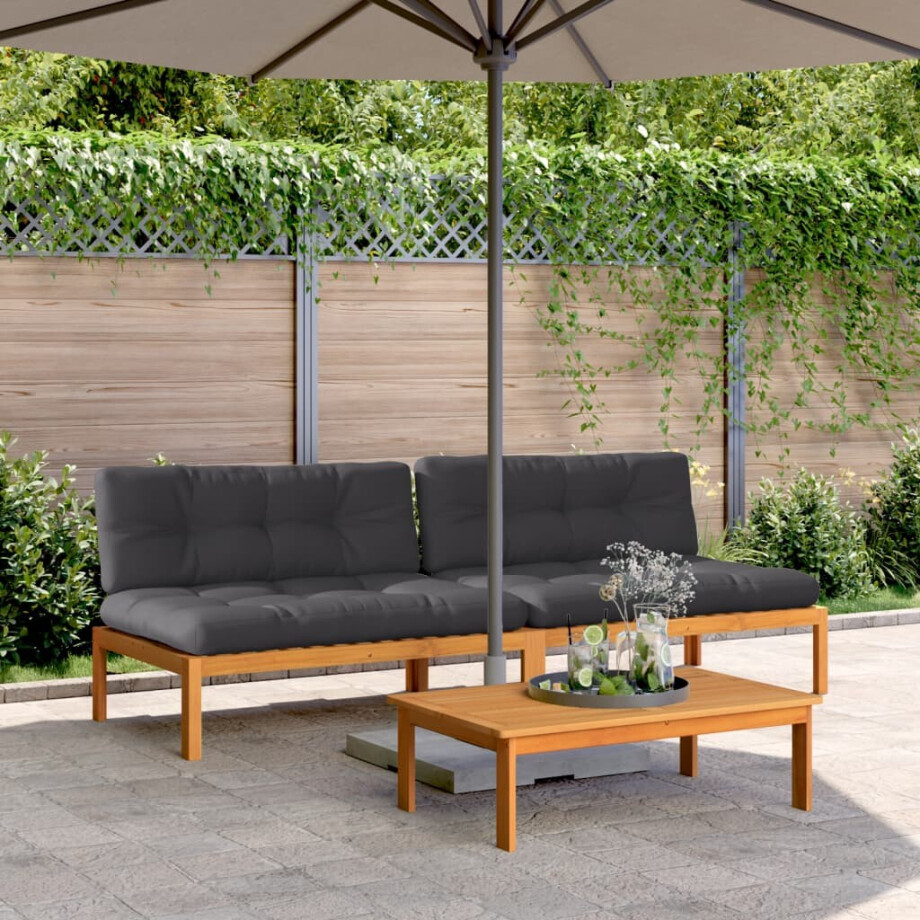 vidaXL Tuinmiddenbanken 2 st pallet met kussens massief acaciahout vidaXL Tuinmiddenbanken 2 st pallet met kussens massief acaciahout afbeelding 1