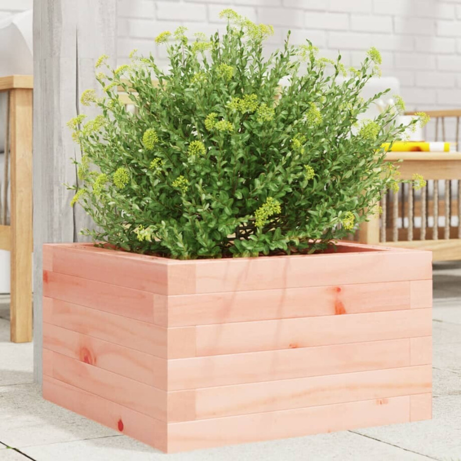 vidaXL Plantenbak 40x40x23 cm massief douglashout vidaXL Plantenbak 40x40x23 cm massief douglashout afbeelding 1