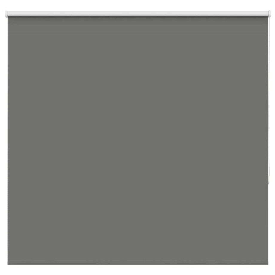 vidaXL Rolgordijn verduisterend 165x175 cm stofbreedte 161,6 cm grijs vidaXL Rolgordijn verduisterend 165x175 cm stofbreedte 161,6 cm grijs afbeelding 1