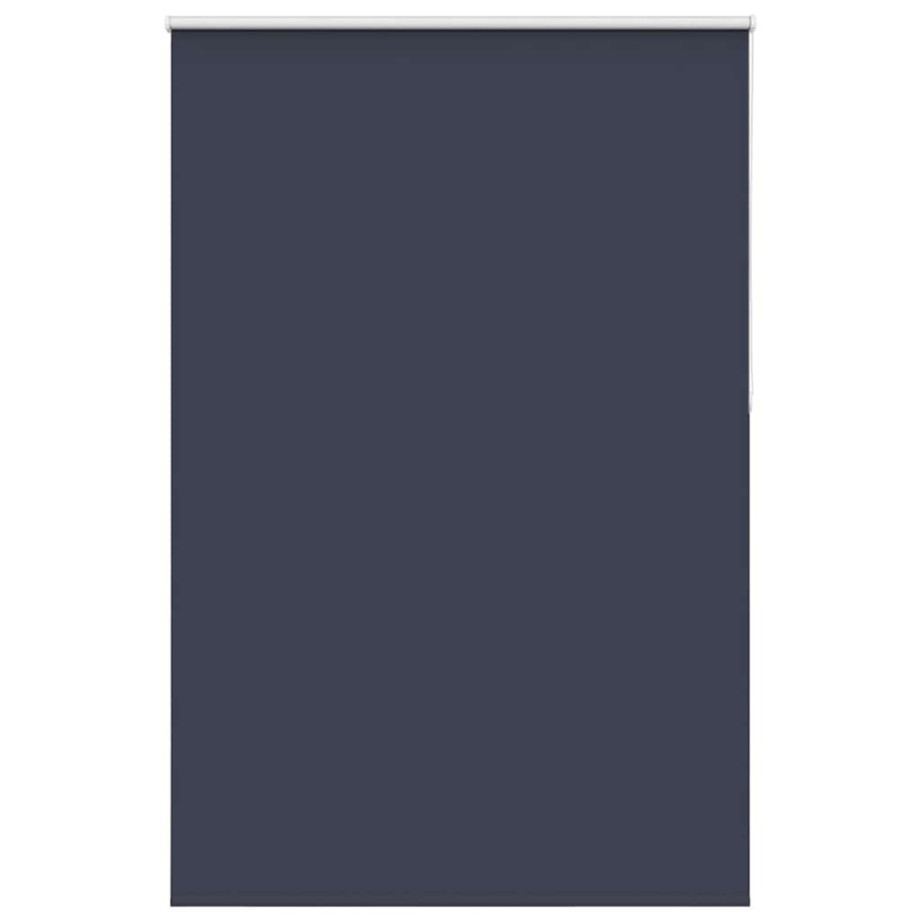 vidaXL Rolgordijn verduisterend 165x210 cm stofbreedte 161,6 cm blauw afbeelding 1