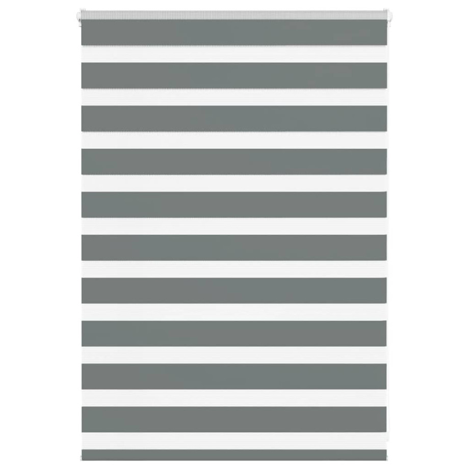 vidaXL Zebra rolgordijn 100x100 cm stofbreedte 95,9 cm donkergrijs afbeelding 1